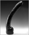 61106 Dick