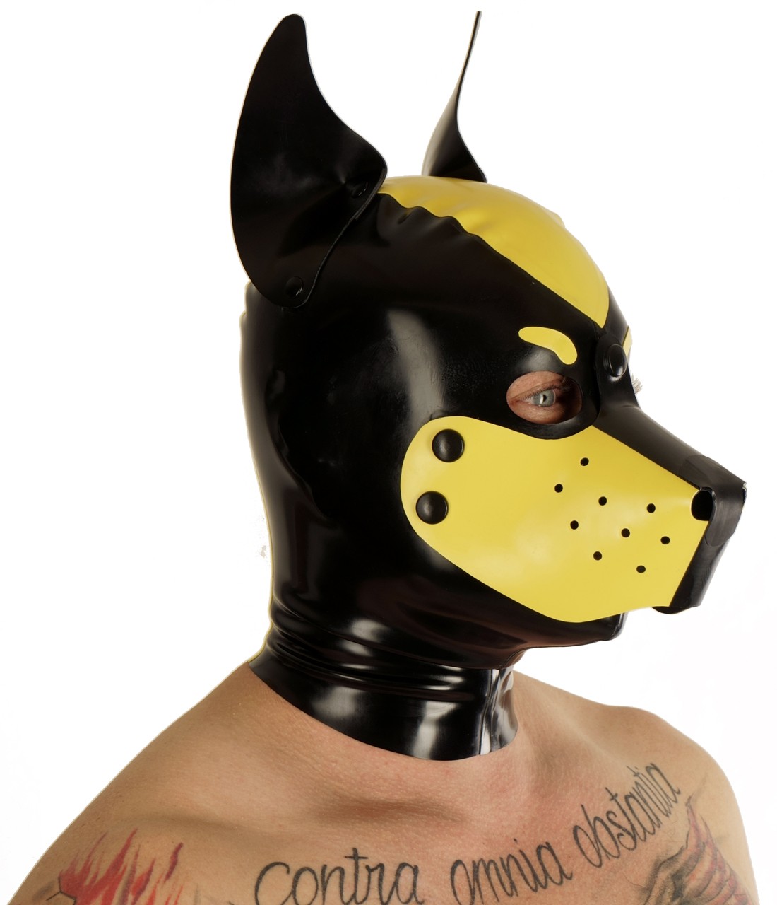 Hundemaske, abknöpfbare Schnauze, spitze Stehohren, 0,60 mm