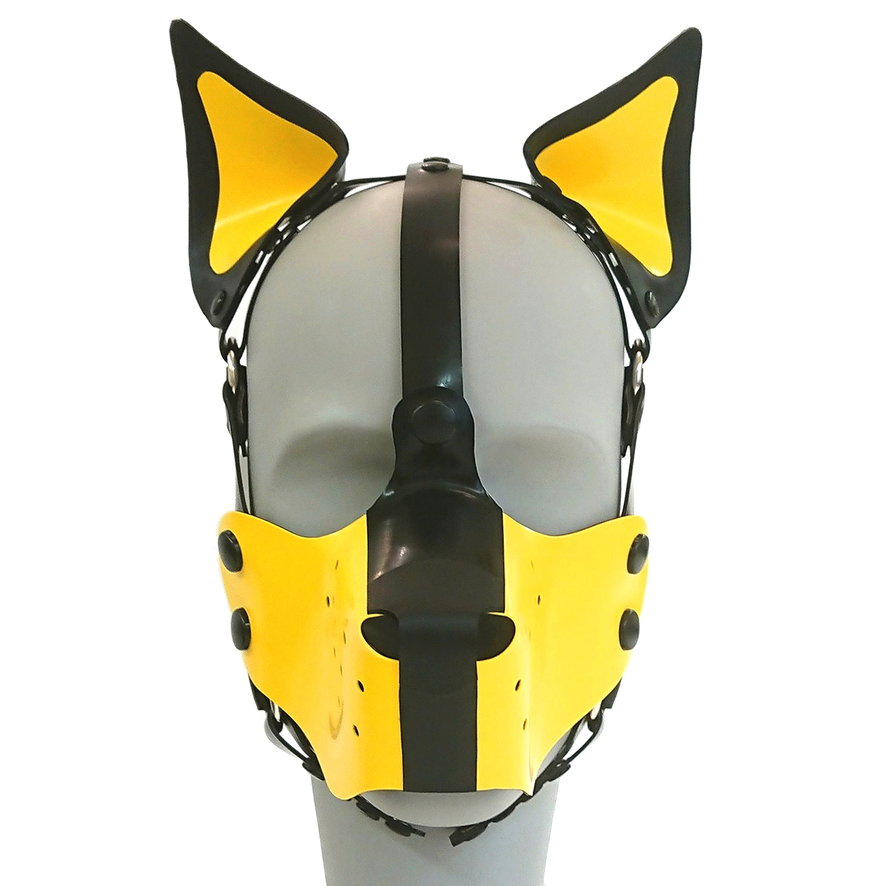 Hundemaskenharness, farbige Stehohren