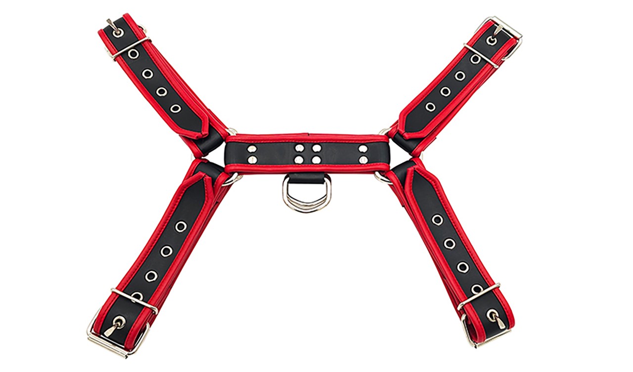Leder-Harness mit farbiger Paspel