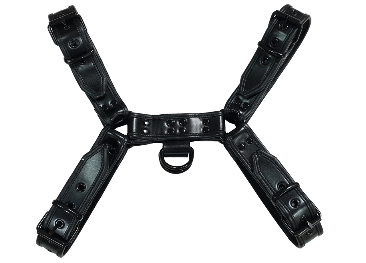 Leder-Harness mit farbiger Paspel
