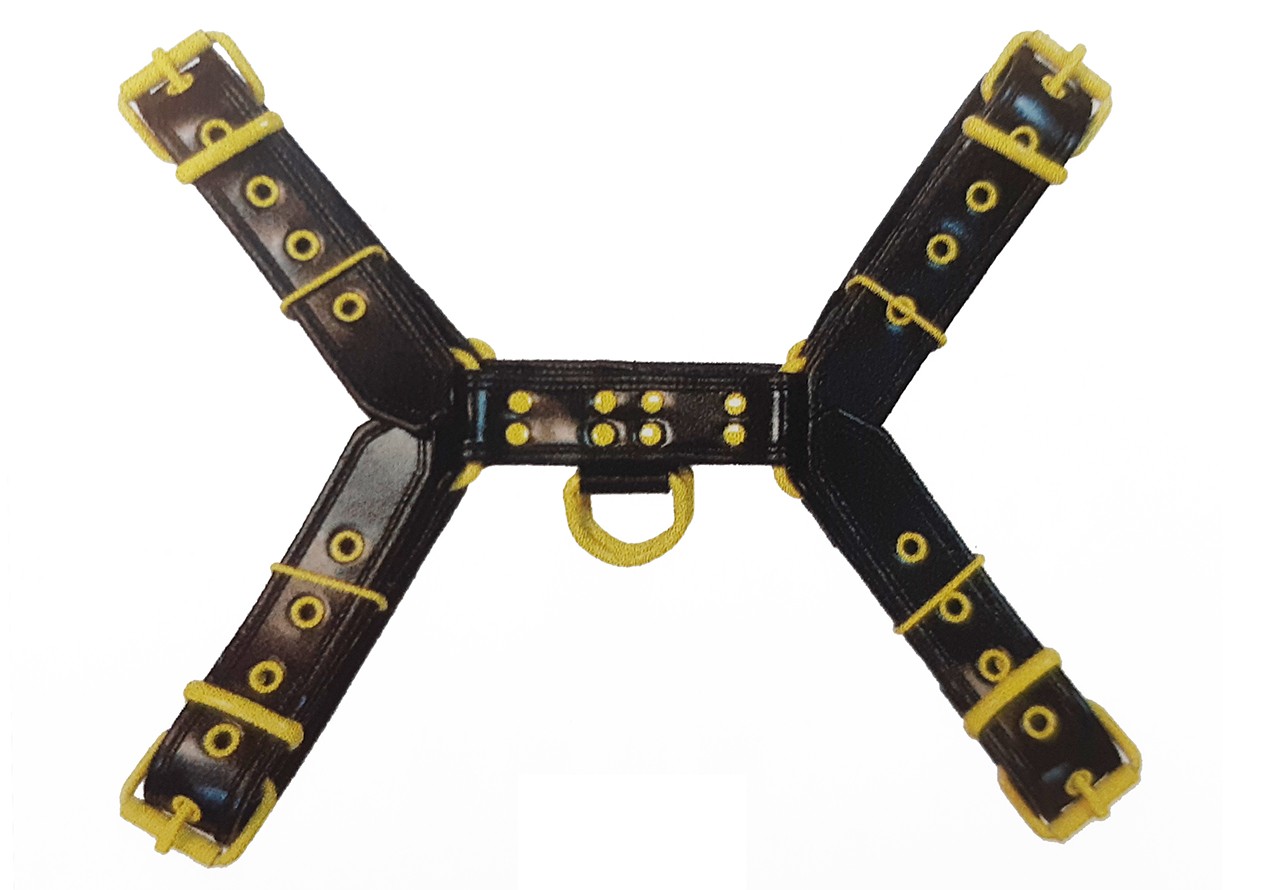 O.T H-Front-Harness