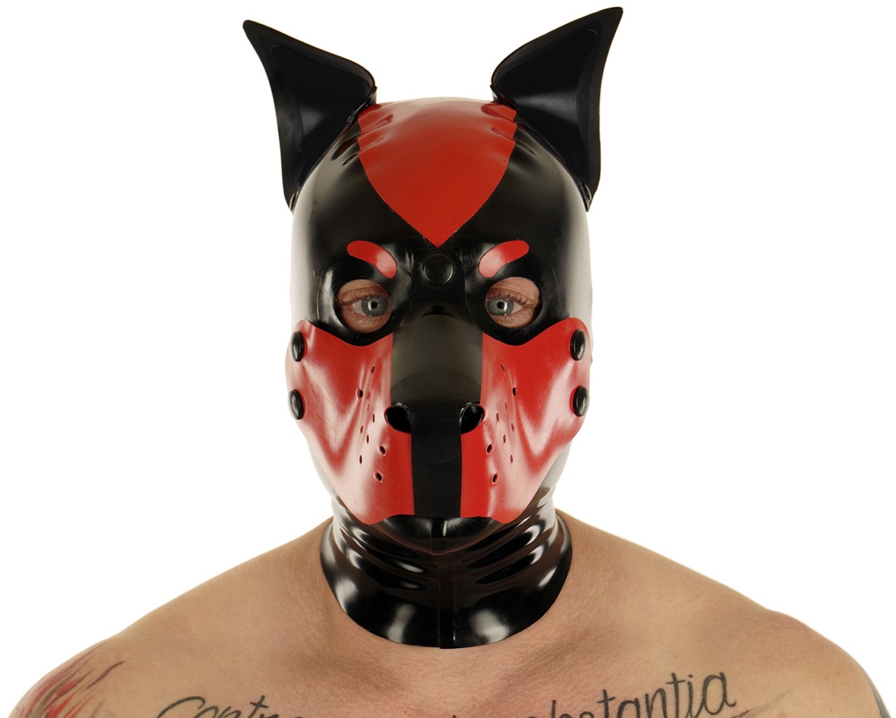 Hundeschnauze, abknöpfbar, einzeln, 1,20 mm Latex