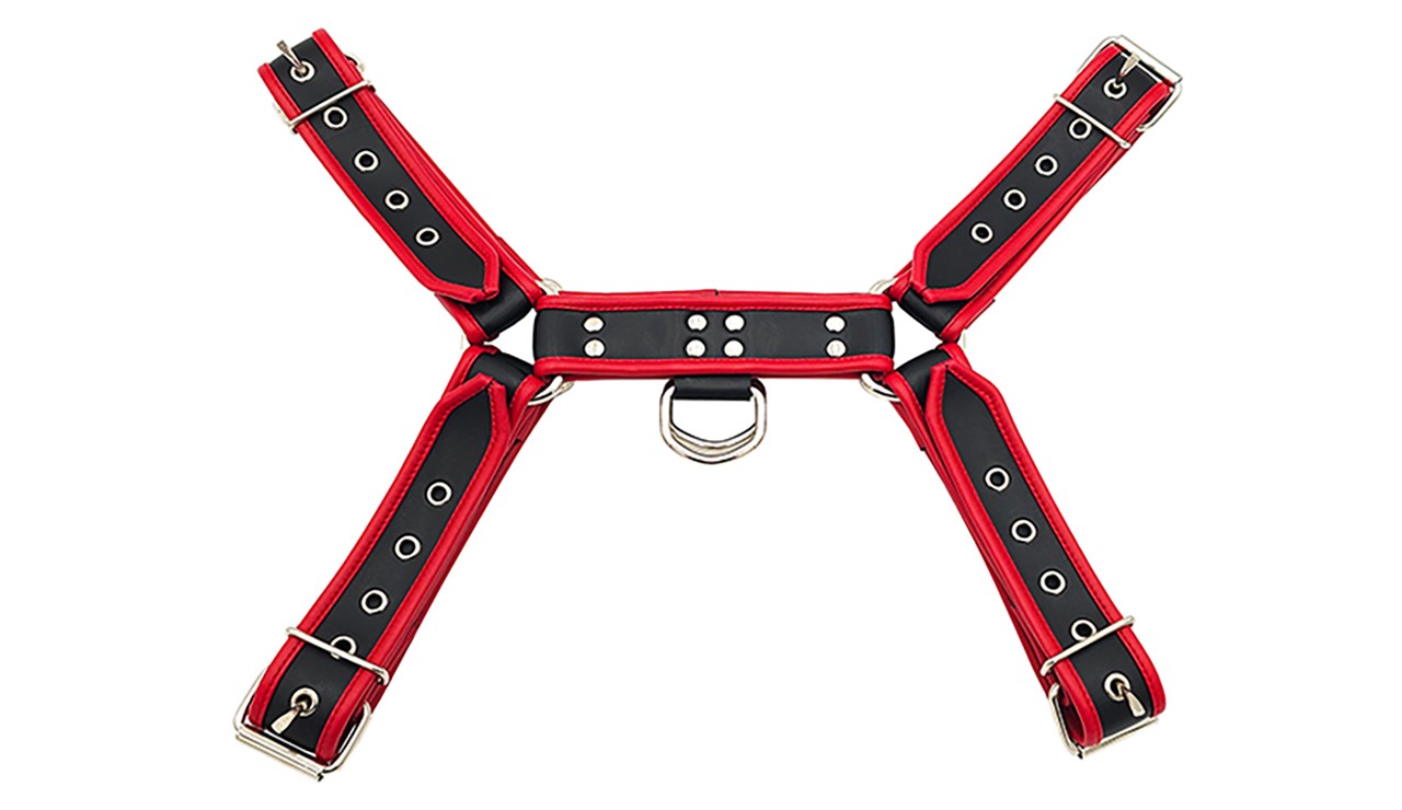 Leder-Harness mit farbigen Schnallen
