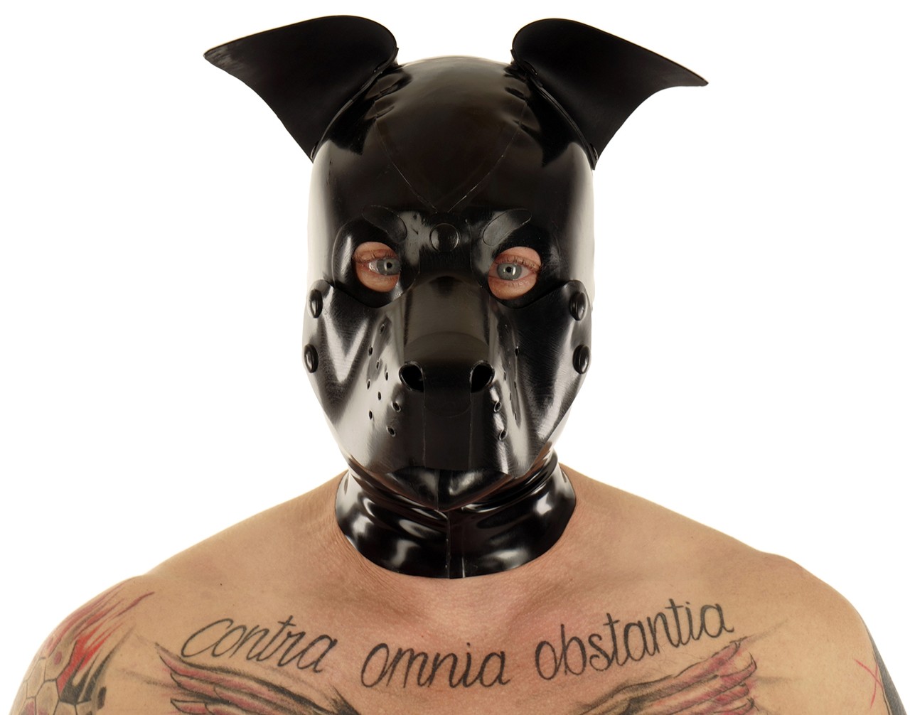 Hundeohren - wackelnde Stehohren für Hundemasken