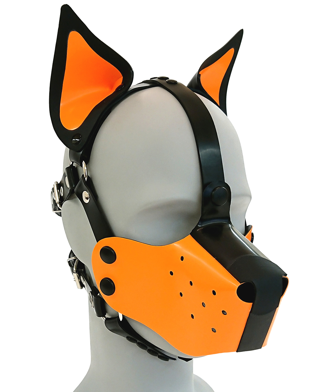 Hundemaskenharness, farbige Stehohren