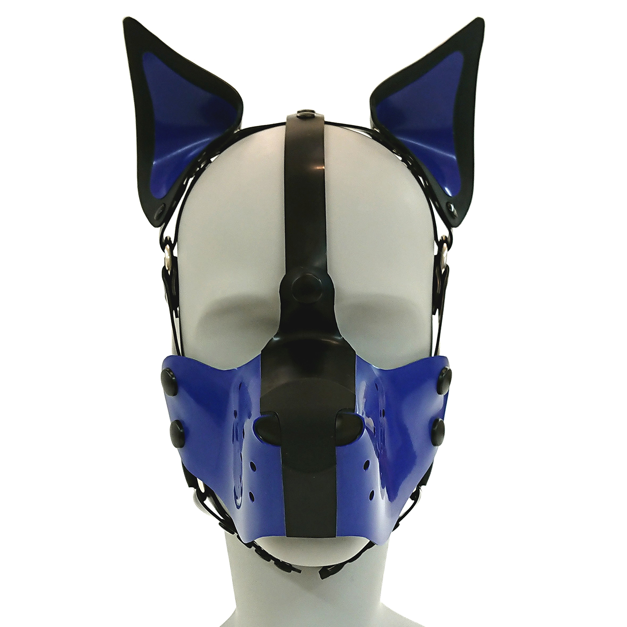 Hundemaskenharness, farbige Stehohren