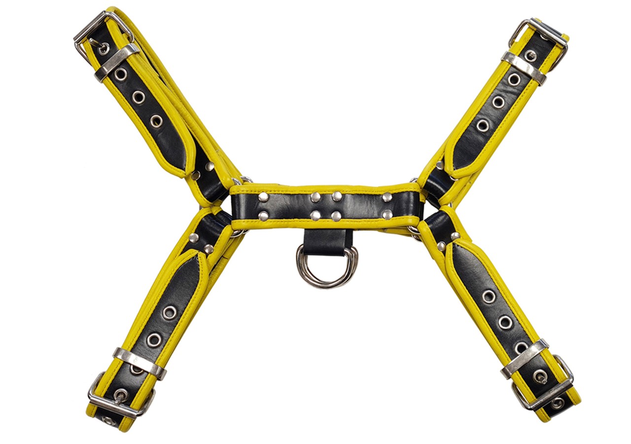 Leder-Harness mit farbiger Paspel