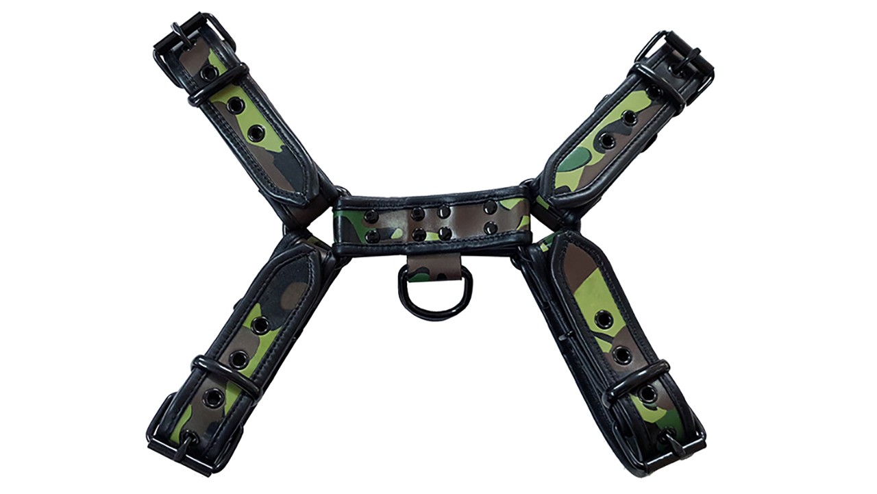 Leder-Harness mit farbiger Paspel