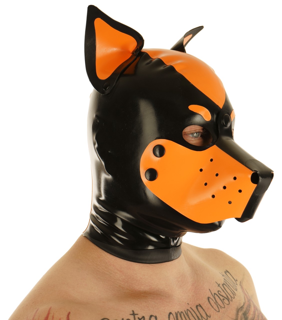Hundemaske, abknöpfbare Schnauze, farbige Stehohren, 0,60mm
