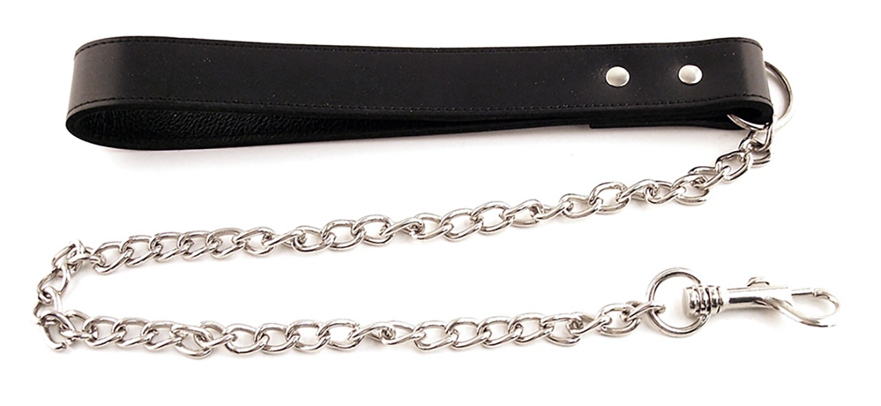 Hundeleine mit Kette