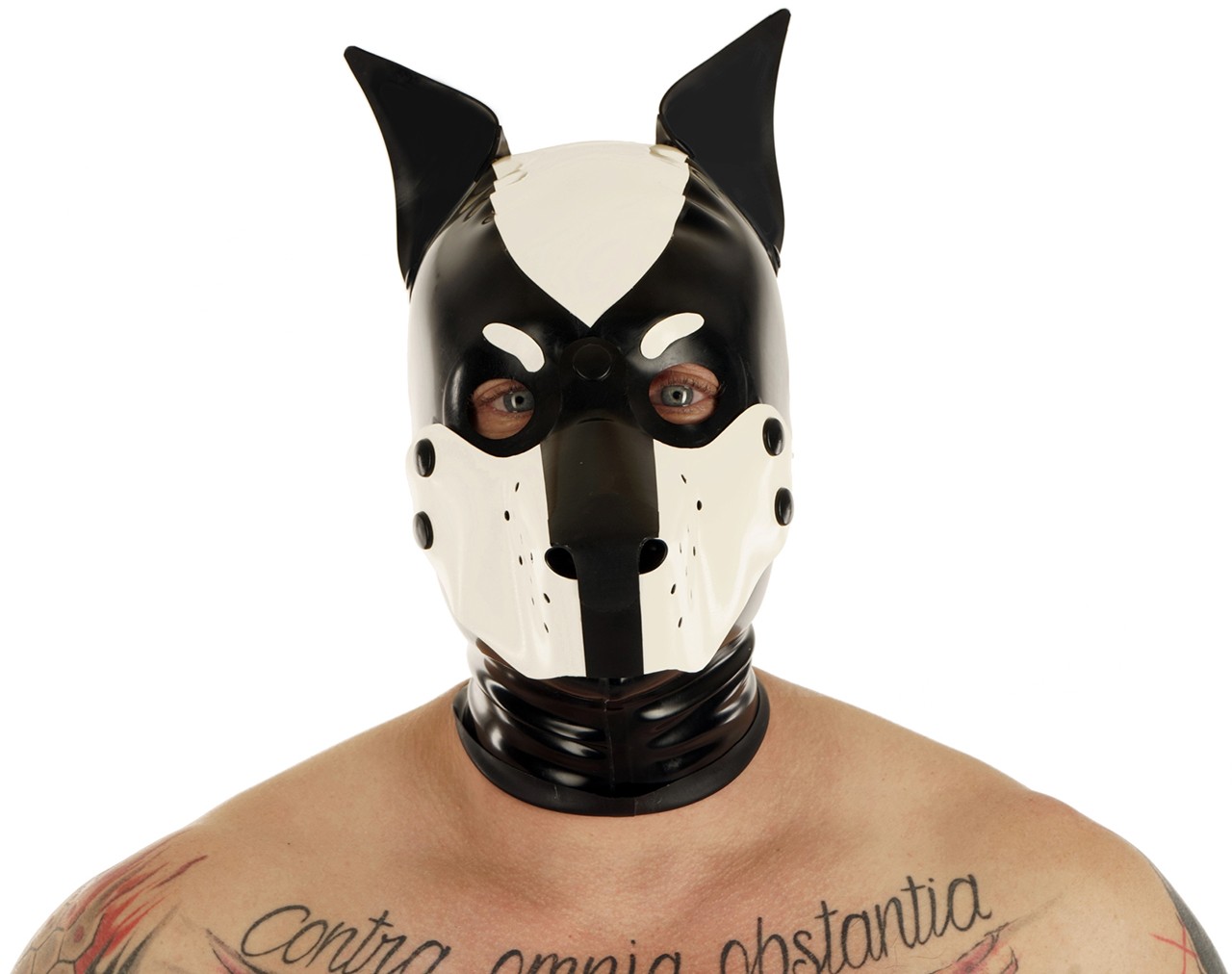 Hundemaske, abknöpfbare Schnauze, Stehohren , 0,60 mm Latex