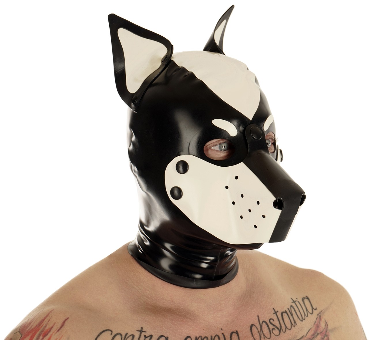 Hundemaske, abknöpfbare Schnauze, farbige Stehohren, 0,60mm