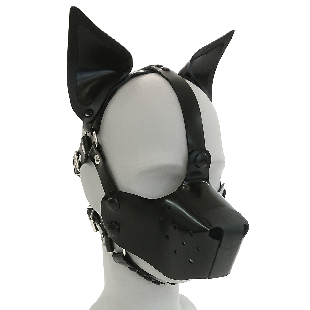 Hundemaskenharness, farbige Stehohren