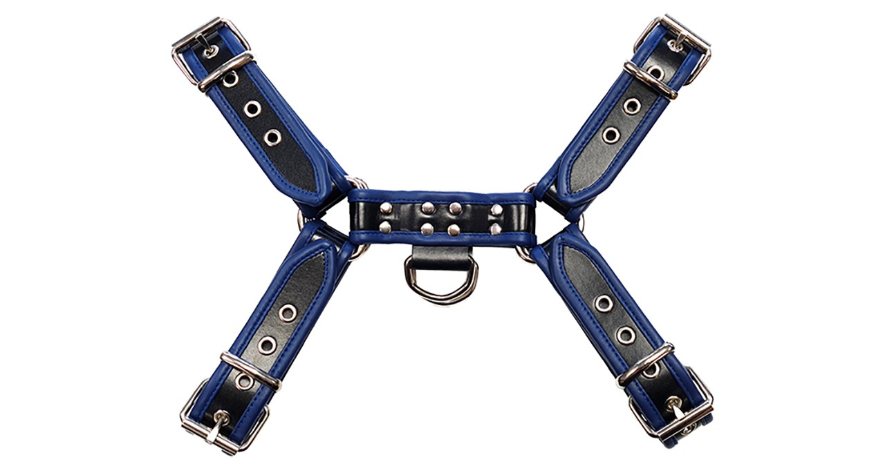 Leder-Harness mit farbigen Schnallen