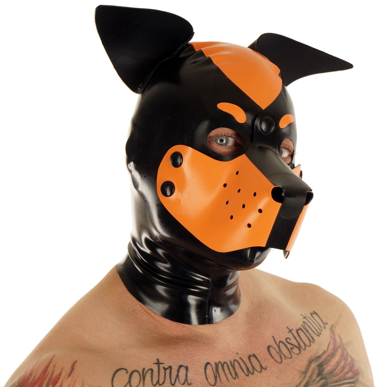 Hundemaske, abknöpfbare Schnauze, wackelnde Stehohren, 0,60