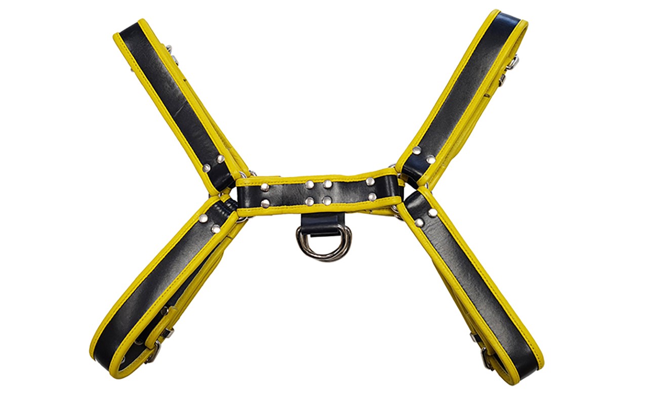 Leder-Harness mit farbiger Paspel