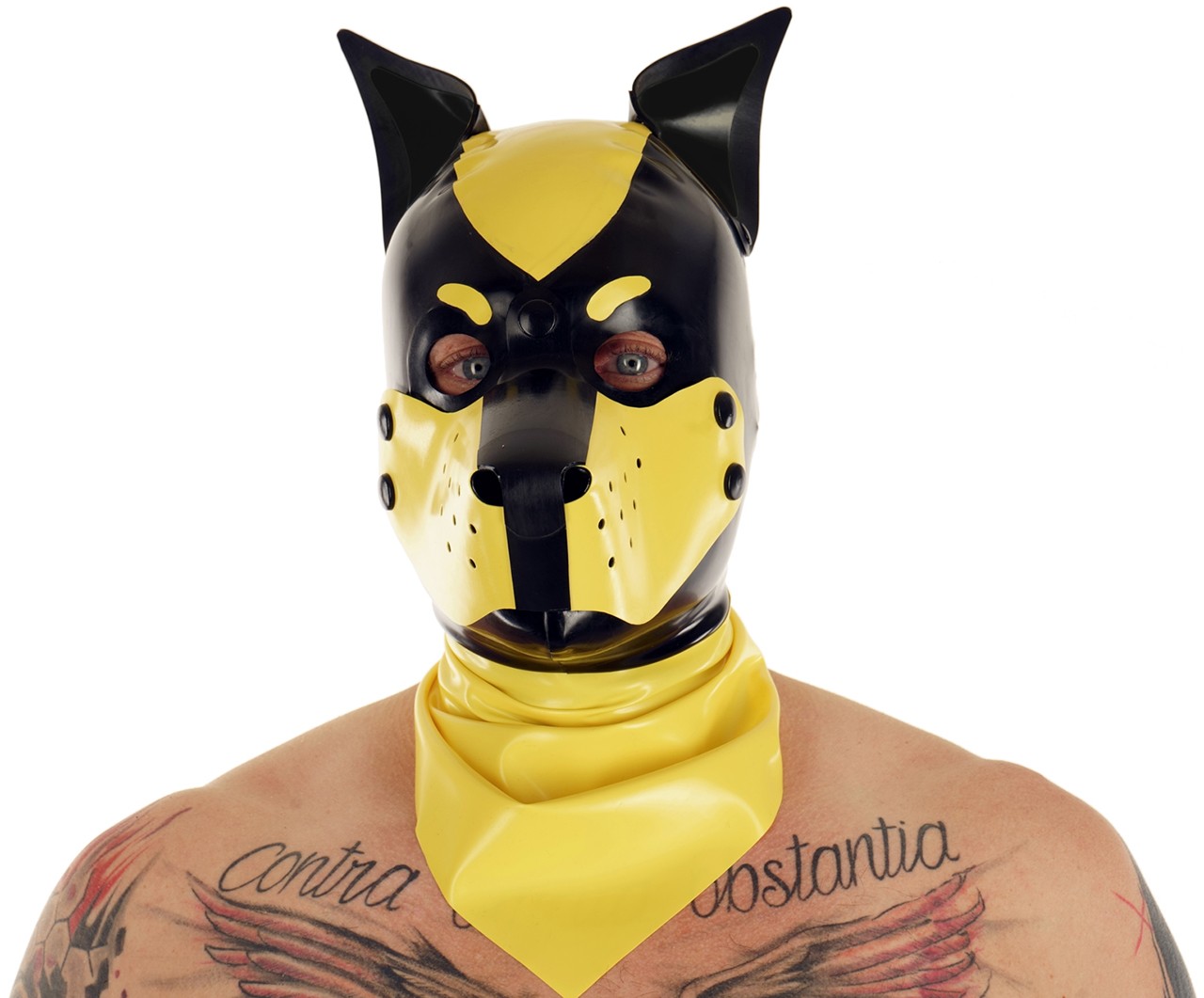 Hundemaske, abknöpfbare Schnauze, Stehohren , 0,60 mm Latex
