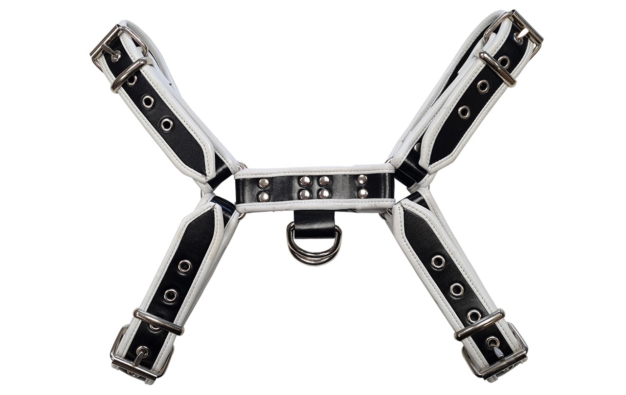 Leder-Harness mit farbigen Schnallen