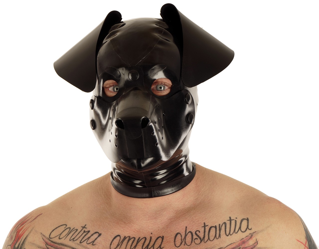 Hundemaske, abknöpfbare Schnauze, Schlappohren, 0,60 mm