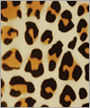 47608 Strukturlatex: Leopard