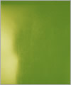 47112 Latex sheet natural green
